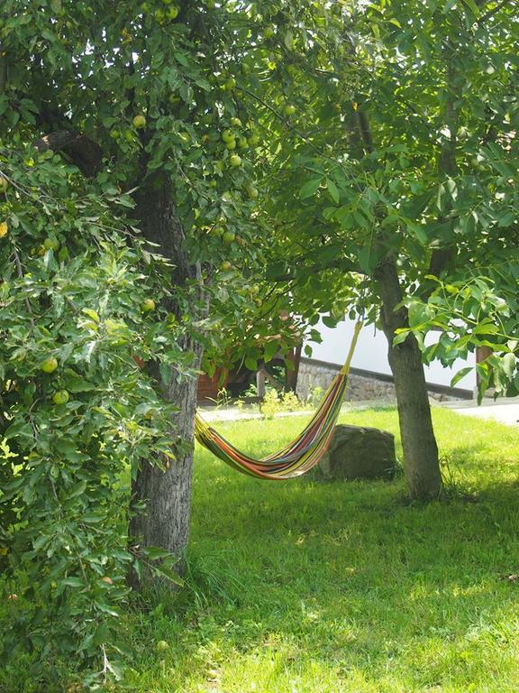 Готель Terra House Mindya Екстер'єр фото